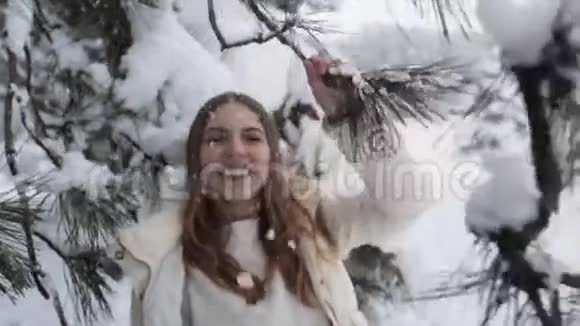 冬季森林白雪公主视频的预览图