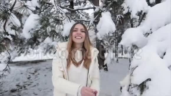 冬季森林白雪公主视频的预览图