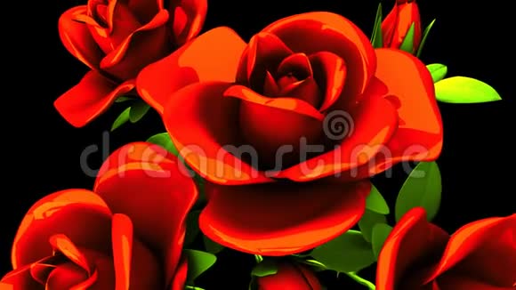 红色玫瑰花束在黑色背景上视频的预览图