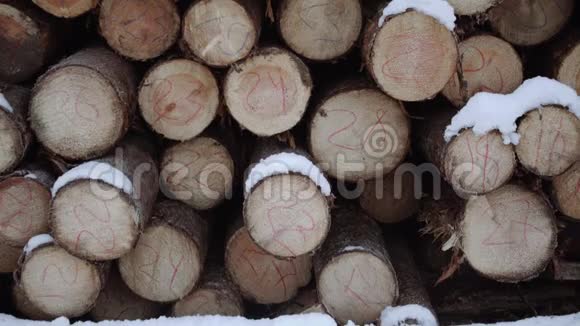 冬季雪覆盖的木材堆视频的预览图