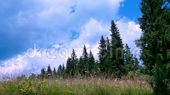 山地景观视频的预览图
