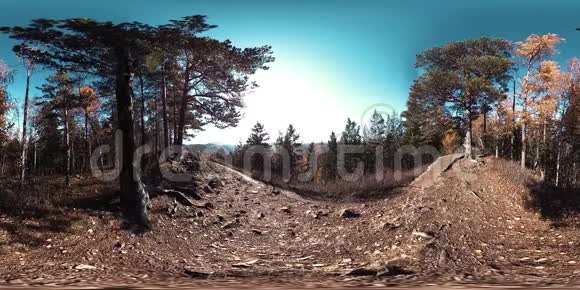 4K360VR虚拟现实的一个美丽的山景在秋天的时候狂野的俄罗斯山脉视频的预览图
