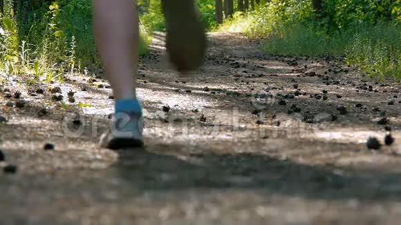 跑步的女人在公园里跑步锻炼户外健身追踪器可穿戴技术女孩在树林里跑步视频的预览图