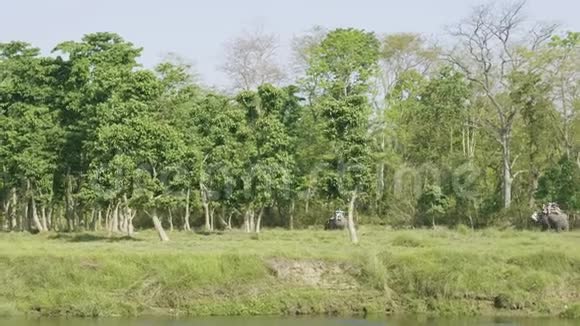 尼泊尔奇特万国家公园的雨林视频的预览图