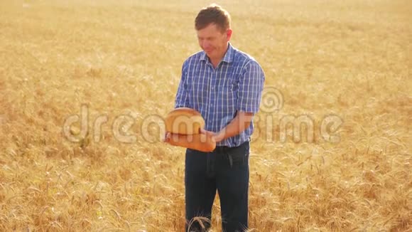 老农夫面包师拿着一个金色的面包和面包在成熟的麦田对抗蓝天慢动作视频收获视频的预览图