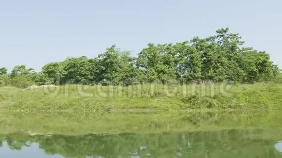 尼泊尔奇特万国家公园的雨林视频的预览图