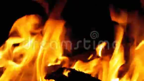 夜晚的篝火燃烧着橙色火焰的原木视频的预览图