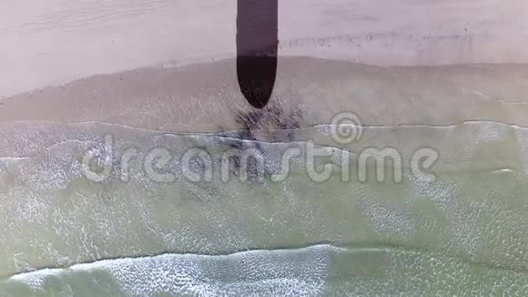 飞机阴影下的孤独海滩鸟瞰视频的预览图