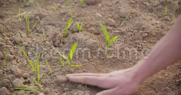 农业领域土壤检测手视频的预览图