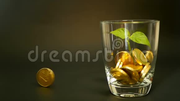 玻璃罐子里的金币和黑色背景上的嫩芽绿叶旋转扭曲旋转旋转便士视频的预览图