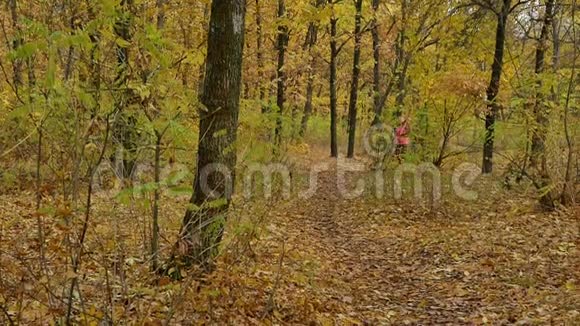 慢速跑步女子跑步者在秋天的森林小径上慢跑适合女性运动健身模特运动员跑步视频的预览图