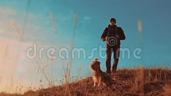 团队合作两名游客徒步旅行者在日落时带着背包去徒步旅行徒步旅行者冒险和狗去散步视频的预览图