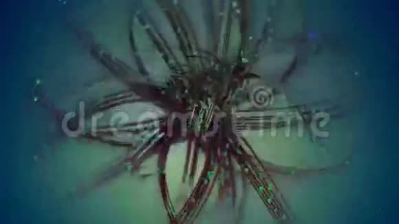 抽象扭曲的蜘蛛网视频的预览图