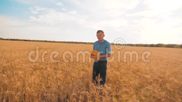 老农民生活方式男人面包师拿着一个金色的面包和面包在麦田对抗蓝天慢速视频视频的预览图