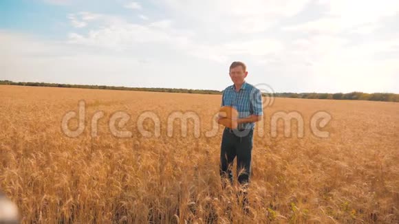 在蓝天的映衬下老农夫贝克在麦田里拿着一个金色的面包和面包慢动作视频视频的预览图