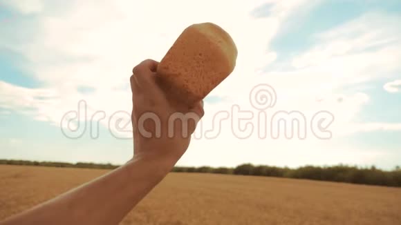 人拿着一个金色的面包在麦田里顶着蓝天慢动作视频成功的农业学家视频的预览图