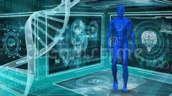 人模型和DNA视频的预览图