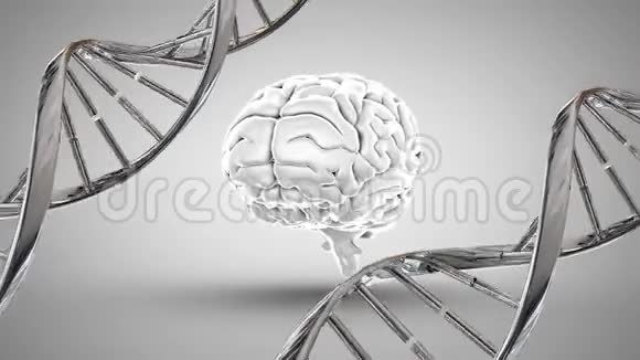 人脑和DNA视频的预览图