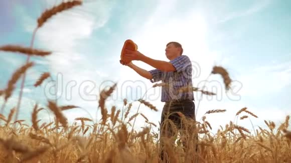 老农夫剪影面包师拿着一个金色的面包和面包在成熟的麦田里对抗蓝天的生活方式缓慢的视频的预览图