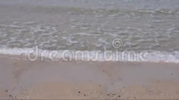 晴天的沙滩视频的预览图