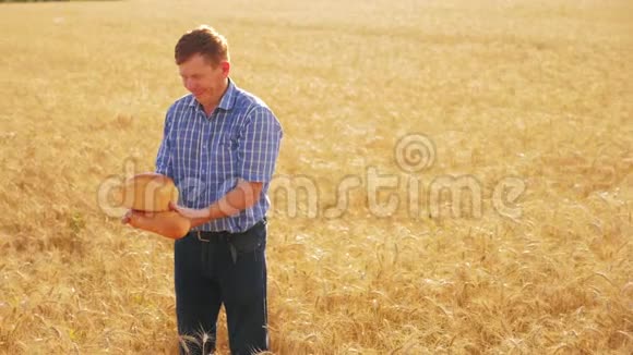 老农夫面包师拿着一个金色的面包和面包在成熟的麦田慢动作视频收获时间老面包师视频的预览图
