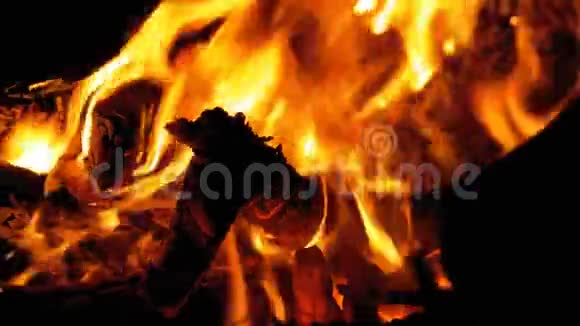 夜晚的篝火燃烧着橙色火焰的原木视频的预览图