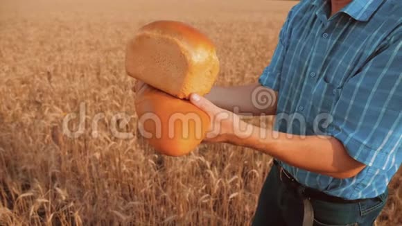 老农夫面包师拿着一个金色的面包和面包在麦田对抗蓝天慢动作视频成功成功成功视频的预览图