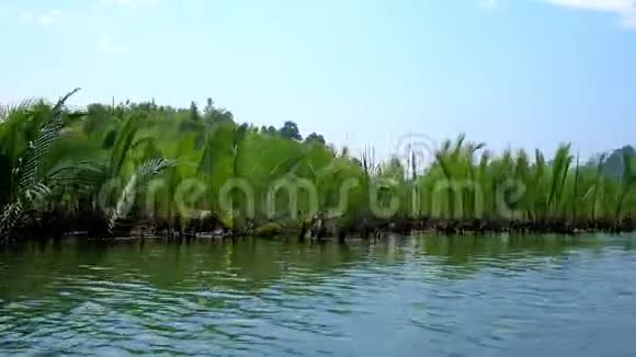 缅甸昌达康伊河红树林之旅视频的预览图