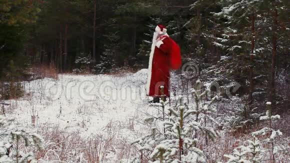 白雪皑皑的树林里快乐的圣诞老人视频的预览图