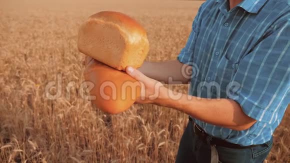 老农夫面包师拿着一个金色的面包和面包在麦田对抗生活方式蓝天慢速视频视频的预览图