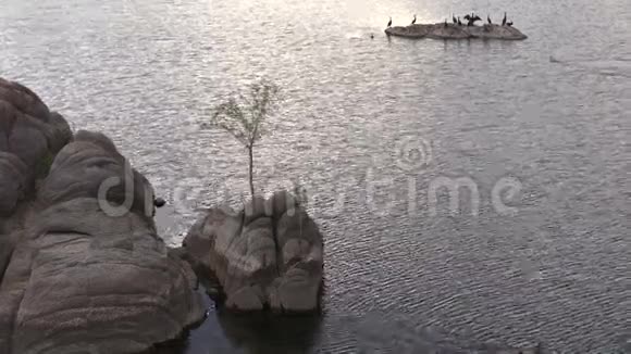 沃森湖视频的预览图