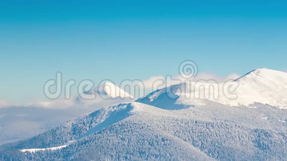 美丽的冬季景观白雪覆盖的树木冬天的山视频的预览图