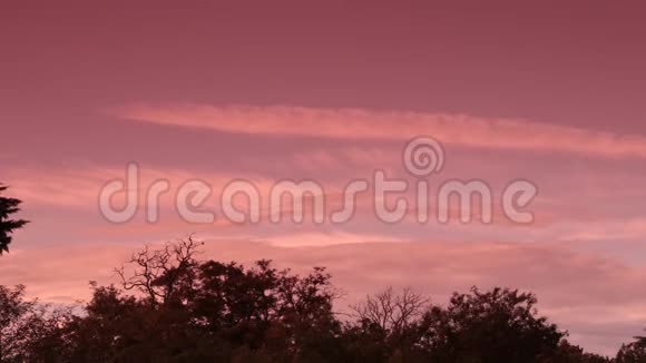 法国比利牛斯山脉的日落视频的预览图