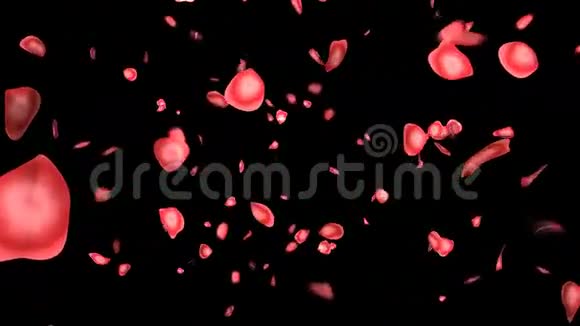 玫瑰花瓣与运动模糊和阿尔法股票镜头视频的预览图