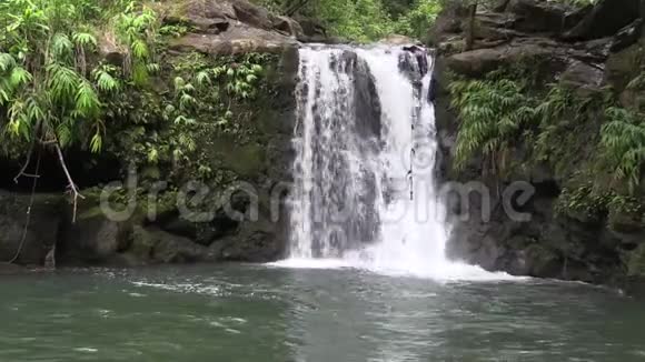 毛伊岛风景瀑布视频的预览图