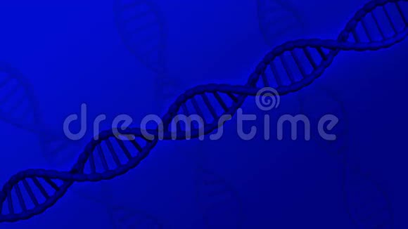 DNA分子转过身来3D绘制视频的预览图