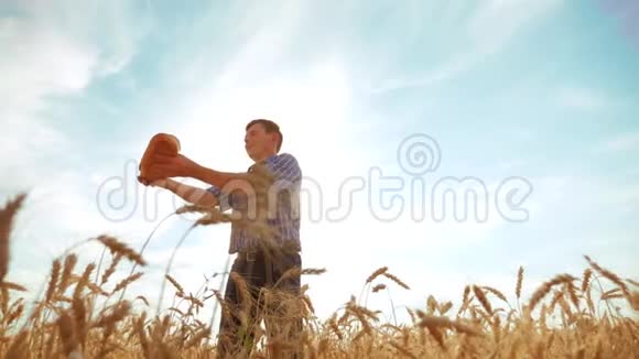老农夫剪影面包师拿着一个金色的面包和面包在成熟的小麦生活方式领域对抗蓝天慢慢慢慢视频的预览图