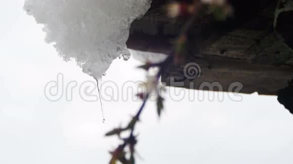 雪从屋顶上融化在春天里滴水视频的预览图