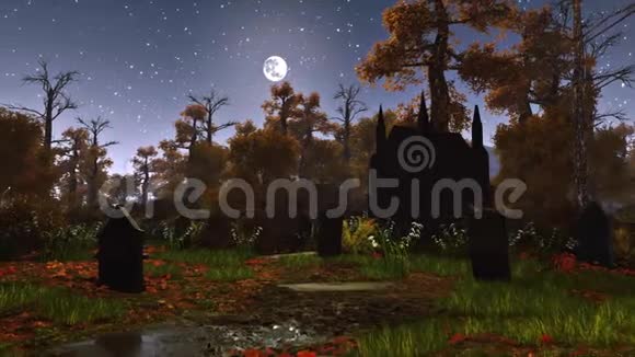 月光夜4K废弃墓地视频的预览图