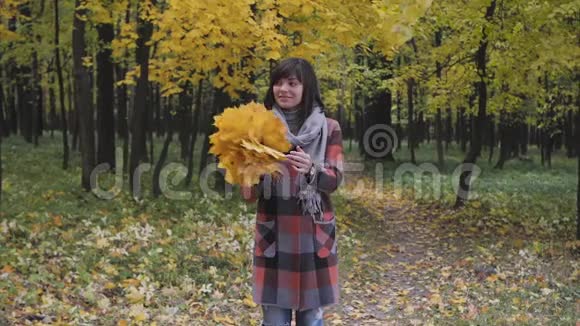 黄色叶子的气味秋天的女孩在城市公园散步快乐可爱美丽的年轻女子画像视频的预览图