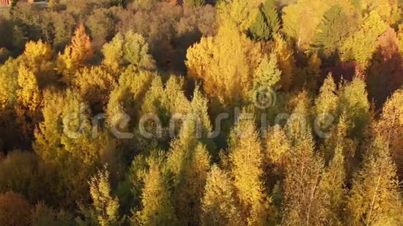 乘坐俄罗斯莫斯科美丽的秋季城市公园视频的预览图