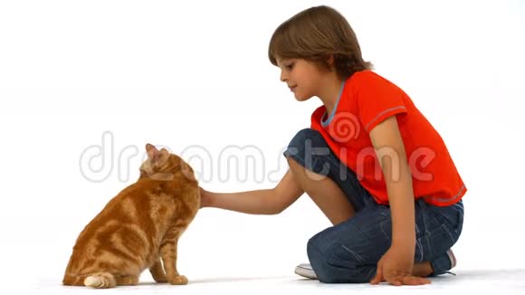 可爱的男孩和宠物猫视频的预览图