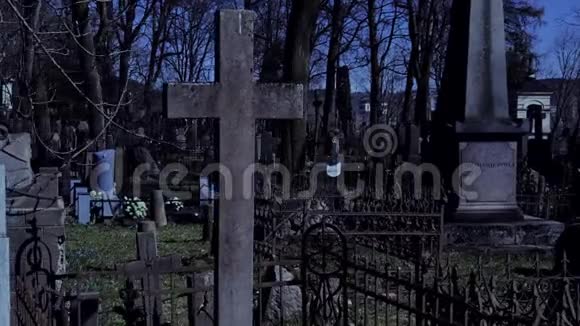 晚上在老公墓散步视频的预览图