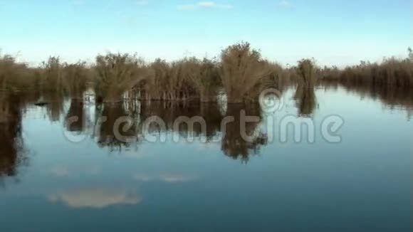 湿地在运动视频的预览图