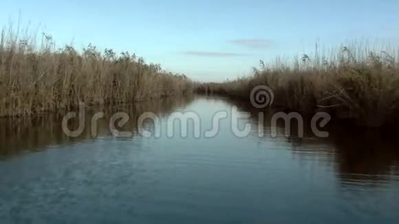 湿地在运动视频的预览图