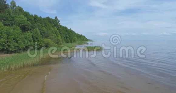 鸟瞰海岸线夏日风景视频的预览图