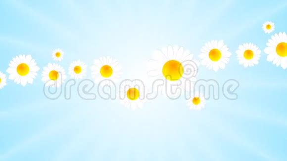 暑期camomiles视频动画视频的预览图