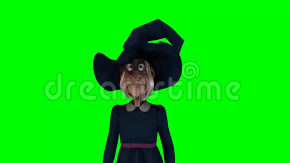 绿色背景上的卡通女巫视频的预览图