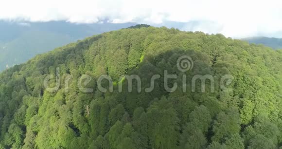 飞越高山视频的预览图