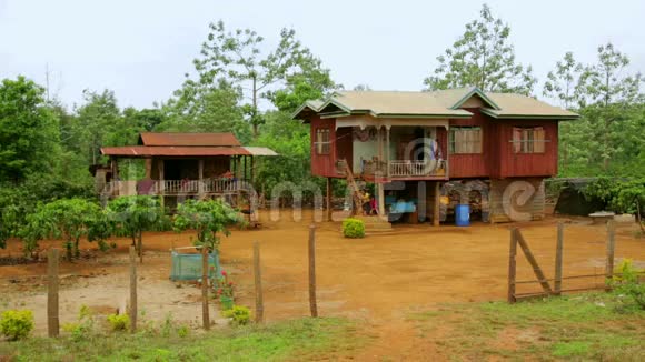 老挝普克塞博拉文高原咖啡周围的老挝村庄生活视频的预览图